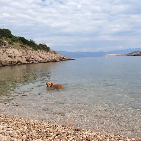 Triglav Apartman Punat