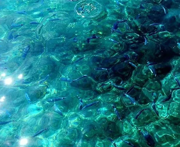 Appartamento Triglav